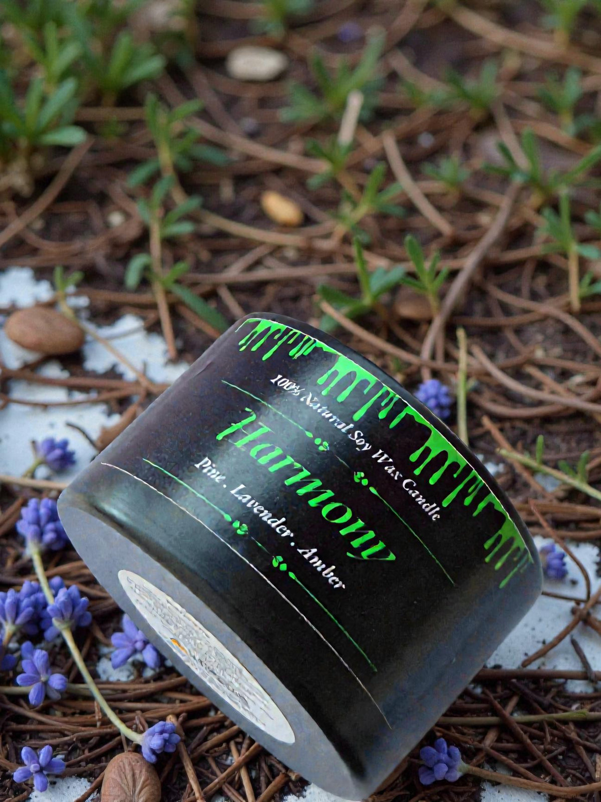 Harmony - 5oz Black Tin